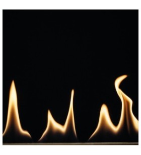 Fire Line Evoplus 800...