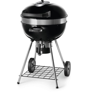 Napoleon Pro Charcoal...