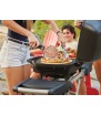 TravelQ™ PRO285X Napoleon-Grill aus Stahl, Napoleon-Gasgrill
