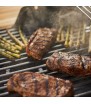 Barbecue a gas Weber Spirit II E-220 GBS