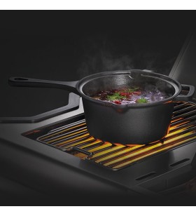 Cast Iron Casserole – Napoleon