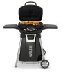 TravelQ™ Stand for PRO285 Napoleon