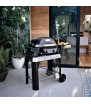 Barbecue Pulse2000 con supporto Weber