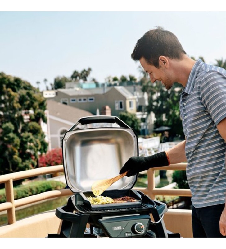 Barbacoa Pulse 1000 Weber