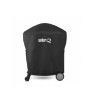 Barbecue Q2400 avec support Weber