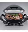 Barbacoa Q2400 Weber