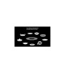 Barbecue Master Touch GBS E-5750 Weber
