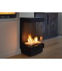 Stand Alone 40 TS Chimenea 3 caras Gas Ortal