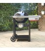 Ψησταριά κάρβουνου Weber Performer 57cm