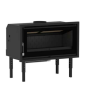 IZ-100 FKT Insertable De Leña Panorámico FM