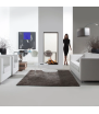 SKY L T Gas Fireplace Element4