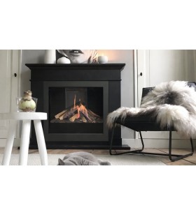DSE 70 Element4 Gas Fireplace