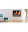 700 Gran Visión wood-burning insert Salgueda