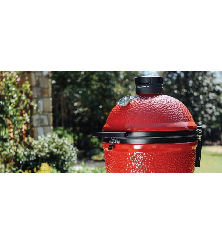 Rejilla de la parrilla