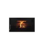 IZ-100 K QUEIMA DE MADEIRA INSERÍVEL PANORÂMICA FM