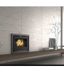 IT-165 F Holzbrenneinsatz FM