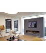Clear 200 Gas Fireplace