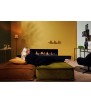 SUMMUM 190 F Chimenea de Gas Element4